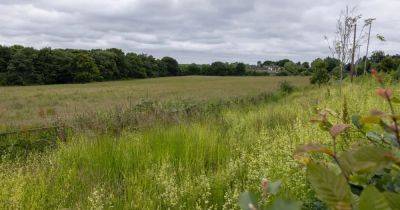 Building 'luxury' homes on green belt is 'wrong', Worsley and Eccles candidate says - manchestereveningnews.co.uk