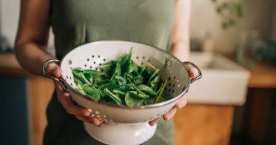 Bagged spinach recalled in USA over fears it may be contaminated with deadly bacteria