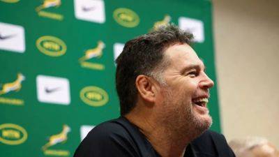 Gerhard Steenekamp - Rassie Erasmus - Springboks host nemesis Ireland as both have point to prove - channelnewsasia.com - Britain - France - South Africa - Ireland - New Zealand