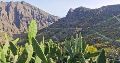 As Jay Slater's family desperately wait, Parc de Teno is once again a magnet for tourists trying to take the perfect photo - manchestereveningnews.co.uk - Britain - Spain