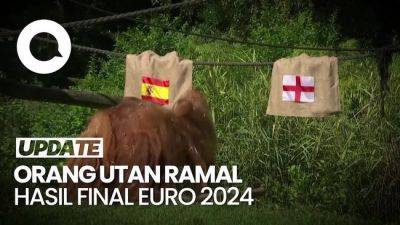 Jelang Final Euro 2024, Orang Utan Ini Ramal Spanyol Juara - sport.detik.com