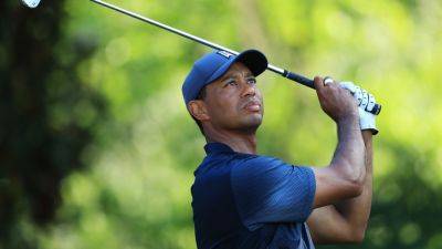 Kevin C.Cox - Stewart Cink - Genesis Scotland - Tiger Woods makes decision about US Ryder Cup captaincy in 2025: report - foxnews.com - Scotland - Usa - Saudi Arabia - state New York - county Andrews - county Island - county Long - county Davis - county Love