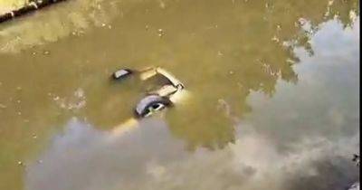 Woman in her 70s miraculously escapes after car ends up in canal in Stockport