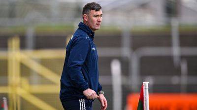 Willie Maher steps down as Laois hurling manager