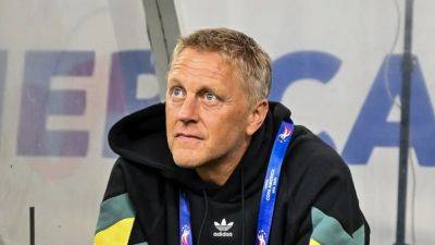 Former Iceland boss Hallgrimsson appointed Ireland coach
