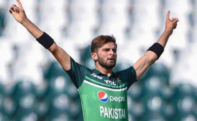Shaheen Afridi Likely To Miss Pakistan's Next Assignment? Head Coach Reveals Reason