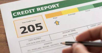 Expert says boosting credit score with car finance can help with future loans