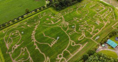 The stunning 15-acre Gruffalo maize just 90 minutes from Manchester