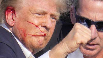 Donald Trump's attempted assassination: EU and world leaders react