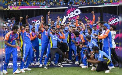 Sanju Samson - "Emotions Are Still Going Through": Sanju Samson On India's T20 World Cup Win - sports.ndtv.com - Zimbabwe - India - Barbados