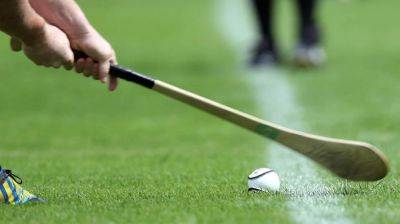 Waterford U-15 hurling match abandoned following brawl - rte.ie