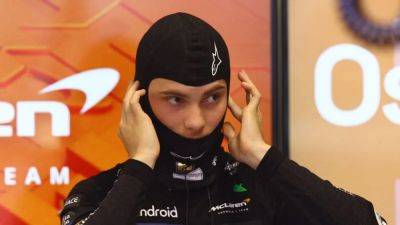 Norris leads McLaren one-two in final Hungarian GP practice
