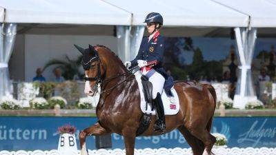 Gold medal equestrian rider withdraws from Olympics after video shows alleged 'error of judgment' with horse