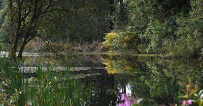 Dog walker robbed 'at knifepoint by masked men' in popular park - manchestereveningnews.co.uk