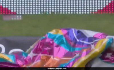 Watch: 'Unicorn Balloon Stops Play' In 2nd England vs West Indies Test, Crowd Reaction Is Pure Gold