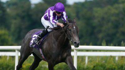 Aidan Obrien - Ryan Moore - Bedtime Story and Hotazhell land juvenile Group races at Leopardstown - rte.ie - Turkey