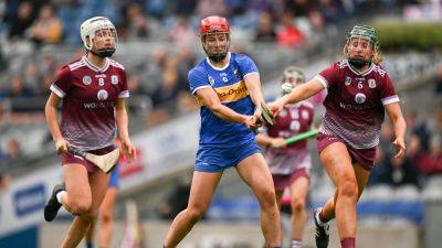 Camogie championship semi-finals: All you need to know