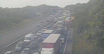 Huge M6 delays with all traffic stopped in police incident - latest