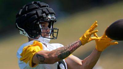 Steelers rookie WR Roman Wilson exits practice on cart - ESPN