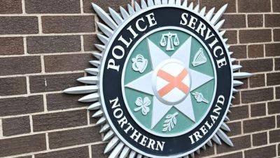 Officer critised for driving car with GAA flag out window