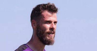 David De Gea shares five-word Fiorentina transfer verdict as Man United hero joins new club