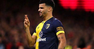 Dominic Solanke can help push Tottenham into top four – Les Ferdinand