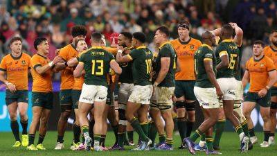 Eddie Jones - Andy Farrell - Scott Robertson - Joe Schmidt - Rassie Erasmus - Joe Schmidt can make Wallabies competitive against Lions, says Rassie Erasmus - rte.ie - Britain - Argentina - Australia - South Africa - Ireland - New Zealand