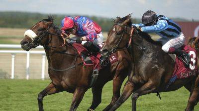 Big Evs holds on for King George win at Goodwood