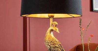 'Next's expensive-looking lamp may be unique, but I get so many compliments on it'
