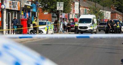 Car crashes into man, 24, fleeing gang attack in hit-and-run horror