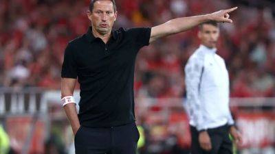 Roger Schmidt - Benfica fire coach Schmidt - channelnewsasia.com - Germany - Portugal