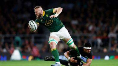 Ireland provide Springboks with ideal prep for Rugby Championship