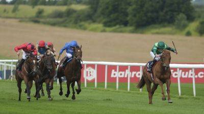 Aidan O'Brien has Whistlejacket booked for Phoenix Stakes duty