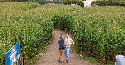 'Pocket of countryside' with spectacular maze, beautiful courtyard and independent brewery