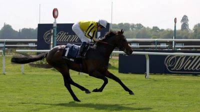 James Fanshawe: Ambiente Friendly 'in great form' ahead of Arc prep