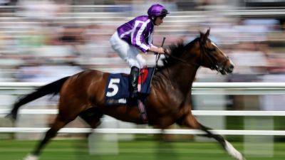 Illinois heads Aidan O'Brien's three-strong St Leger team