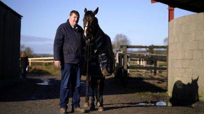 Trainer John Joseph 'Shark' Hanlon fails in bid to delay suspension until April 2025