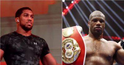 Anthony Joshua was 'NOT' knocked unconscious by Daniel Dubois as Eddie Hearn refutes sparring rumour