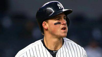 Ex-Yankees infielder Tyler Austin suffers freak injury with Japanese club - foxnews.com - Usa - Japan - New York - San Francisco - state Arizona - state Minnesota - county Park