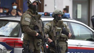 Austria raids alleged Islamist extremists in run-up to anniversary of 9/11 terror attack - euronews.com - Austria - New York - Isil