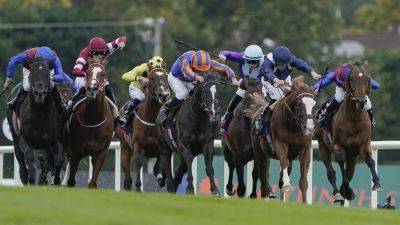 Auguste Rodin - Economics realises potential in Irish Champion Stakes - rte.ie - Britain - Japan - Ireland - Los Angeles - Bahrain - county York - Luxembourg