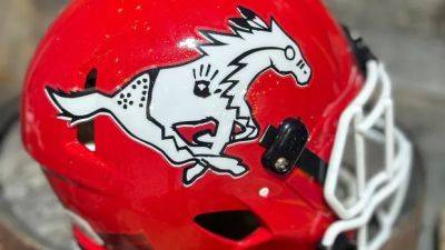 Stampeders game to be broadcast in Blackfoot language - cbc.ca