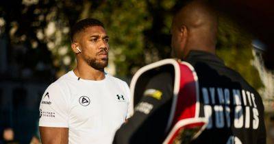 Anthony Joshua makes 'devastating' promise ahead of Daniel Dubois world title fight at Wembley