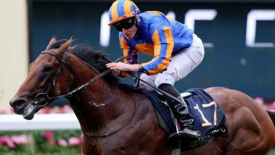 Genealogy gives Ryan Moore records a first Punchestown win