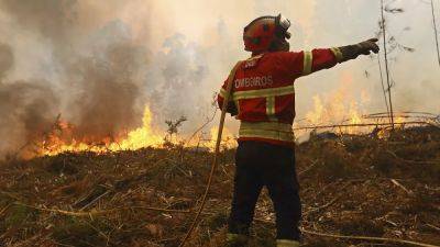 Thousands of firefighters battling ongoing blazes in Portugal