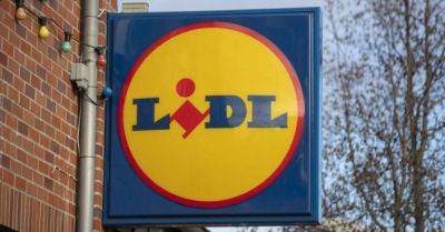 Paralympian who was asked to move her guide dog away from food in Lidl awarded €2k - breakingnews.ie - Germany - Ireland