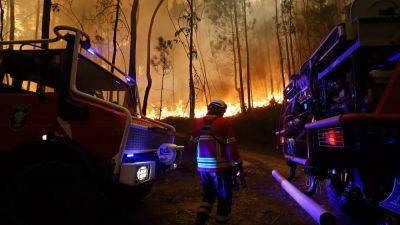 Portugal’s wildfires produce record emissions with smoke headed for France and Spain