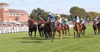 Royal Ascot - Bay - Garry Owen - Ayr Gold Cup tips as Garry Owen naps Mostabshir for glory - dailyrecord.co.uk - county York - county Hampton