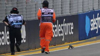 Max Verstappen - Aston Martin - George Russell - Fernando Alonso - Oscar Piastri - Reptilian interloper leads to suspended practice session at Singapore Grand Prix - rte.ie - Singapore