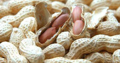 International - No peanut found in products, food supplier says following allergy alert - manchestereveningnews.co.uk - Britain - India